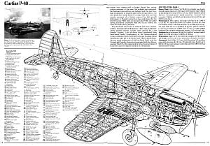 Curtiss P-40 Warhawk Cutaway Drawing