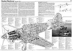 image source: An illustrated Anatomy Of the World”s Fighters