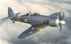 Hawker Sea Fury airplane