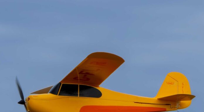 HobbyZone Champ Anniversary Special Edition: You Can Learn to Fly RC Solo in a Park—This Is the Plane That Makes It Possible